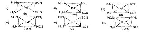 (a) Draw all possible constitutional isomers of the compound `Ru(NH_(3 ...