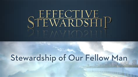Image result for How to Implement Stewardship