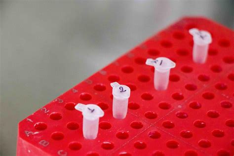 PCR Testing Definition 的图像结果