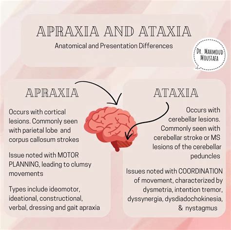 Apraxia & Ataxia | Amirul RG