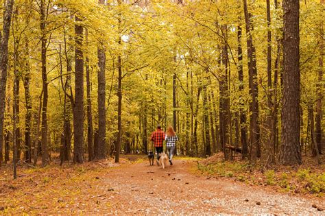 Barrow County School System... - Barrow County School System