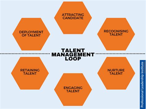 Image result for Talent Management Tutorial