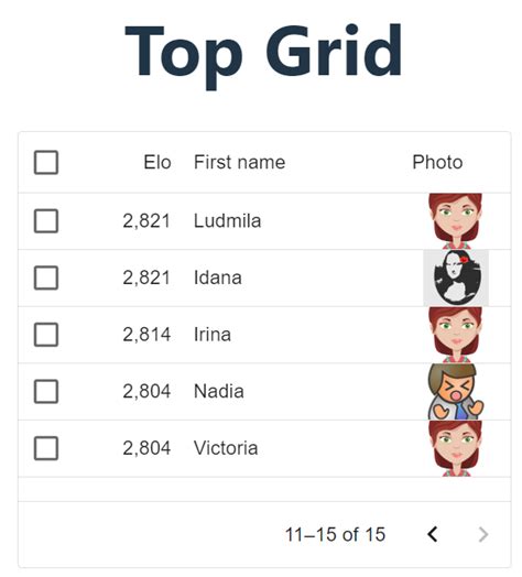DataGrid Example 的图像结果