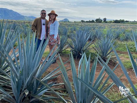 Tequila Jalisco Donde Se Ubica at Robyn Morgan blog