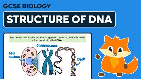 Image result for Basic Science Examples