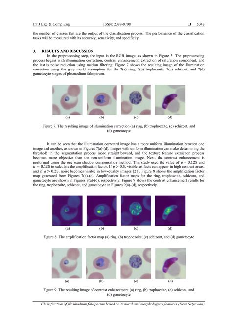 Classification of plasmodium falciparum based on textural and morphological features | PDF