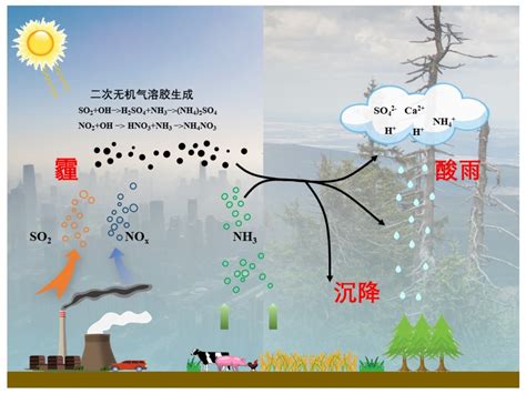 冯兆忠教授在中国臭氧污染对人体健康、森林生产以及粮食产量造成的经济损失方面取得重要研究进展