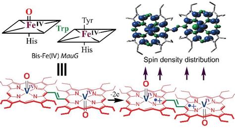 Inorg. Chem. 2021 , 60 , 16492-16506 . Full Article