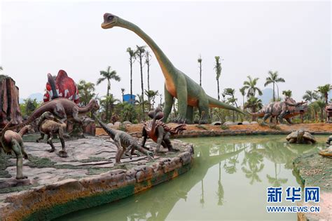 广西东兴发现侏罗纪时期恐龙化石 - 化石网