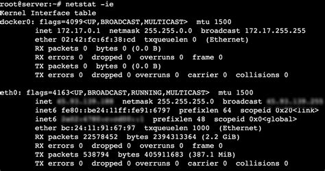 Image result for Explain Netstat Output