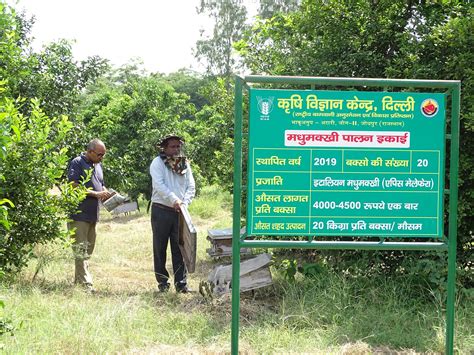 Beekeeping - Krishi Vigyan Kendra