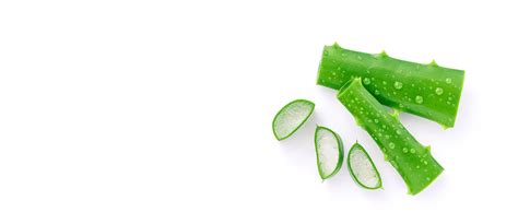 Buy Be Bodywise 10% Niacinamide Brightening Body Lotion 200ml | 48Hr ...