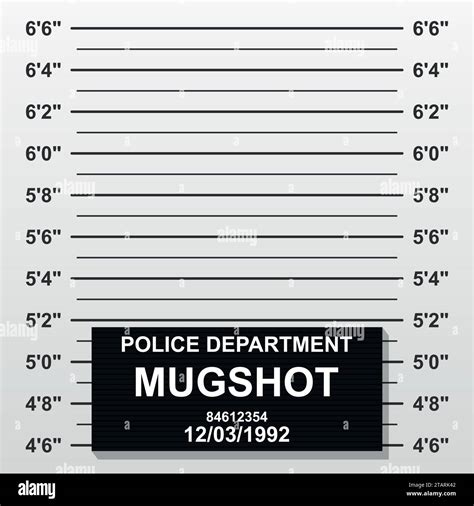 Criminal mug shot line. Police mugshot add a photo. Blank criminal ...