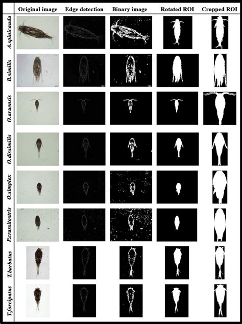 Digital Image Processing Example 的图像结果