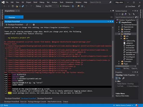 Angular to .Net Web API 的图像结果