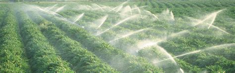 Agriculture - Automatic Star Delta Starters | Farmhouse equipment ...