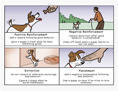 Image result for Negative Reinforcement Examples