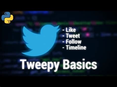 Tweepy Tutorial 的图像结果