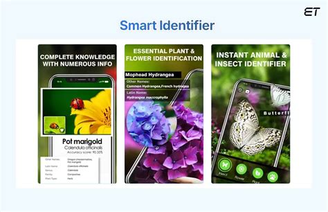 Image result for Flying Bug Identifier