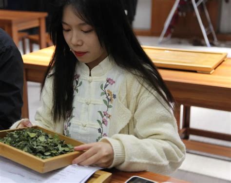 2019年茶艺师中级认证课程培训班-深圳市罗湖区人才培训中心