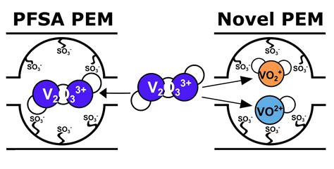 Characterization of Dimeric Vanadium Uptake and Species in Nafion™ and ...