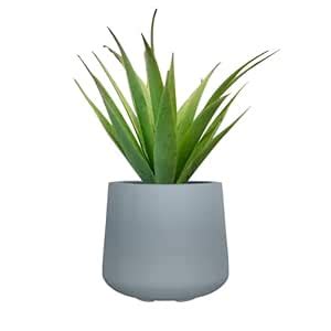 JP PLANTERS COTA Fiberglass Round Planter - Ideal for Home Gardening ...