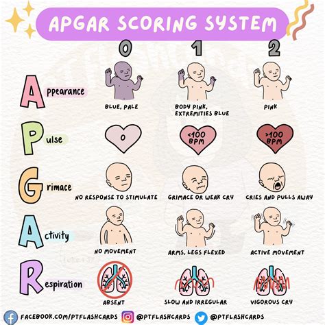 Image result for Apgar Score Example