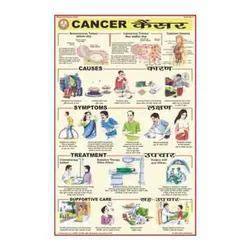 Human Diseases Charts - Deficiency Diseases Charts Exporter from Pune