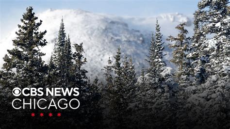 Exploding Tree Cold 的图像结果