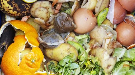 Image result for Food Waste Composting