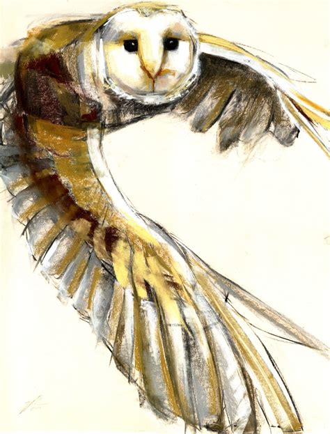 Cute Barn Owl Drawing