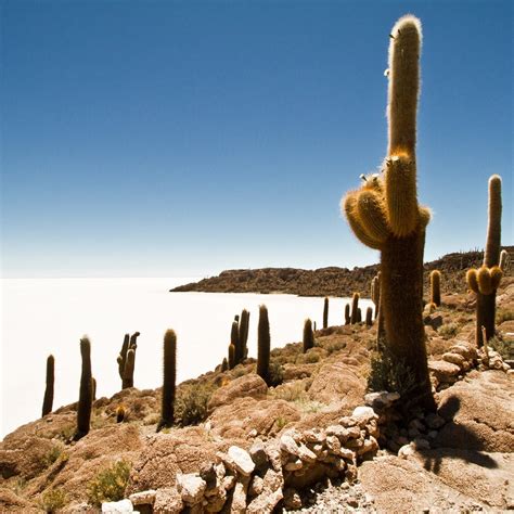 RUTA ANDINA (2025) All You Need to Know BEFORE You Go (with Photos ...