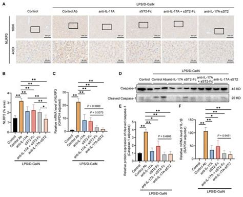 Biomedicines | May 2024 - Browse Articles