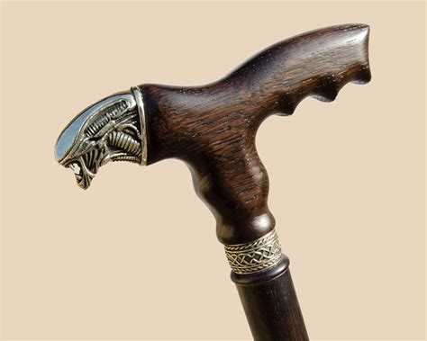 Difference Between A Cane And Walking Stick at Dawn Wilkerson blog