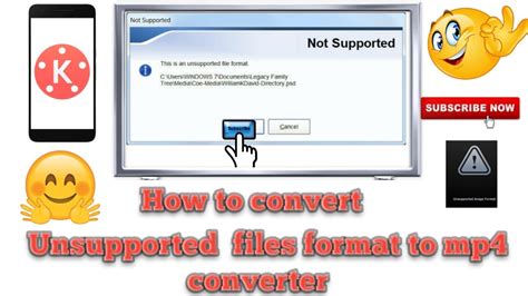 Repair unsupported file format mp3 or mp4