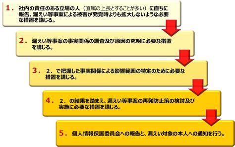 Image result for Examples Appendix in a Project
