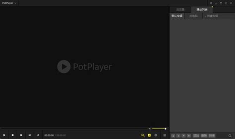 PotPlayer Setup 的图像结果
