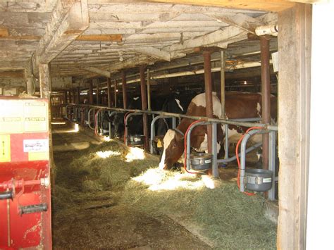 Local to Here: Shaw Farm, Dracut, Massachusetts