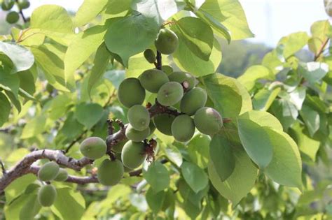 Image result for Sample Problem Power