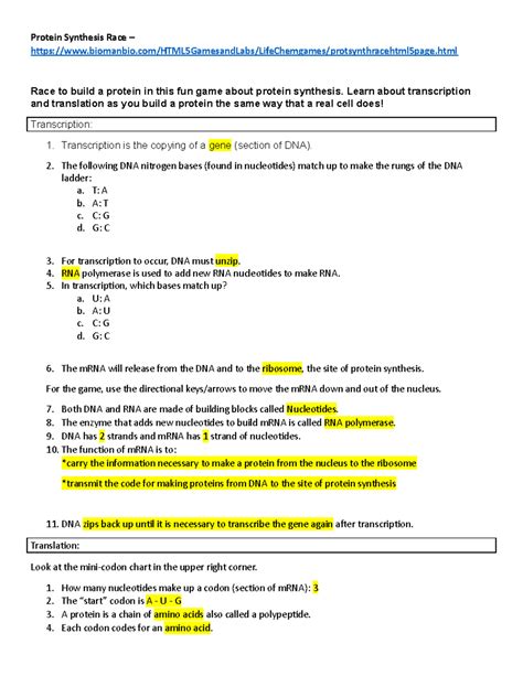Image result for Protein Synthesis Practice