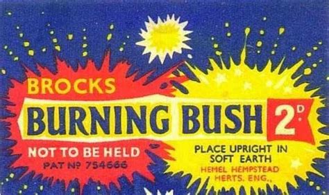 Image result for Firework Names