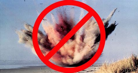 Image result for Whale Carcass Exploding