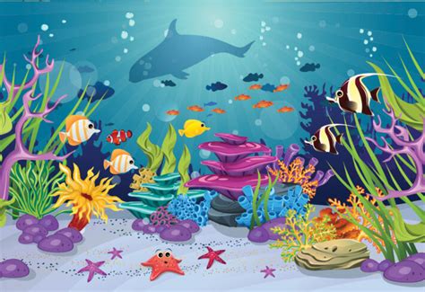 Shop Ceiling Wallpaper Online - 3 Year Color Warranty