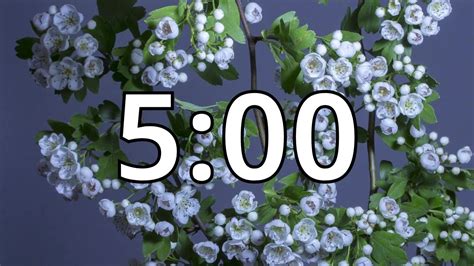 Spring Timer 10 Mins 的图像结果