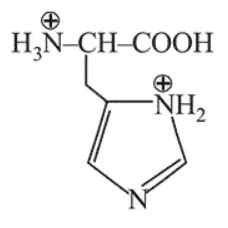 The correct structure of histidine in a strongly acidic solution