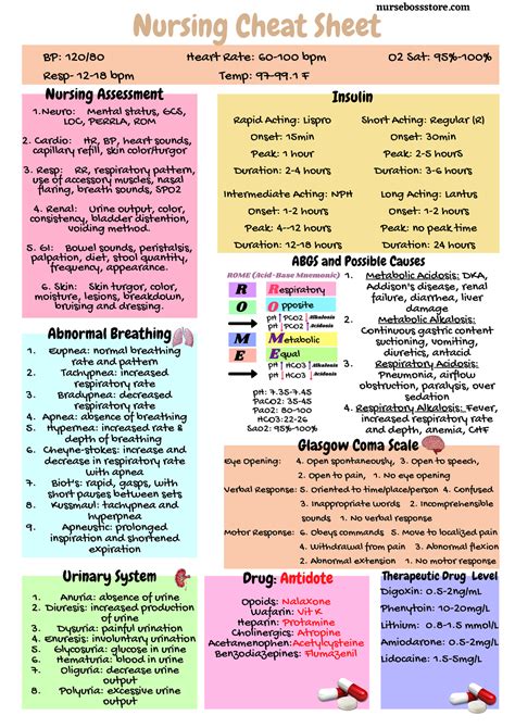 3. Nursing Cheat Sheet - Eupnea: normal breathing rate and pattern ...