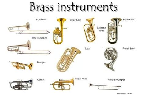 Image result for Different Types of Instruments