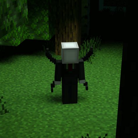 Image result for Minecraft Java Make Up Mod