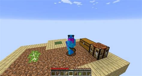 Image result for One Block Survival Speedrun