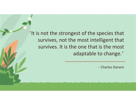 Image result for Evolution Process